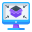 Software & Licenses